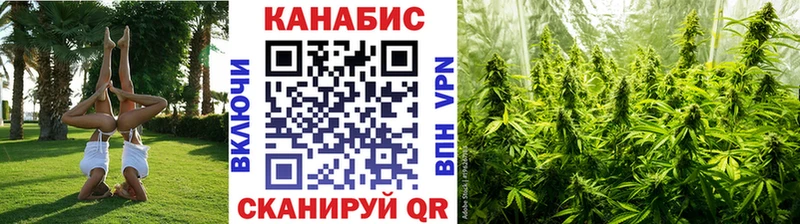 Виды наркотиков купить Кедровый Кокаин A-PVP Каннабис ГАШИШ