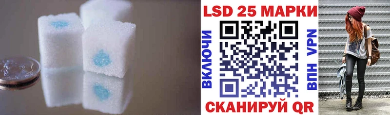 купить   Кедровый  ЛСД экстази ecstasy 